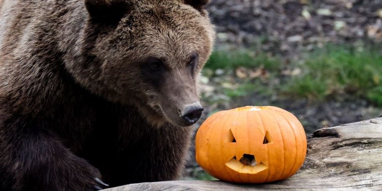 Stock-market turnaround? Why October is known as a ‘bear
killer’.