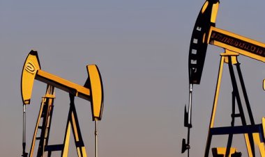 OPEC Plus Considering Major Production Cut to Prop Up Oil Prices