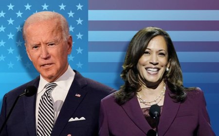 The First AI Election in US: Threats and Opportunities for Democracy?