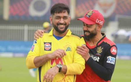 The Money Game of Indian Cricket : How IPL Scores Big in Finances