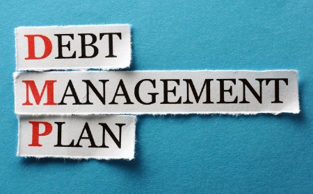 Effective Debt Management Techniques to Achieve Financial Freedom