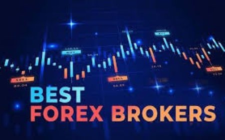 The Role of Forex Brokers: Your Ultimate Guide to Choosing the Perfect Partner for Successful Trading