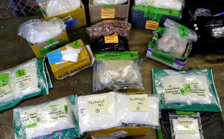 United States Imposes Sanctions on Chinese and Mexican Companies Linked to Counterfeit Pill-Making Equipment