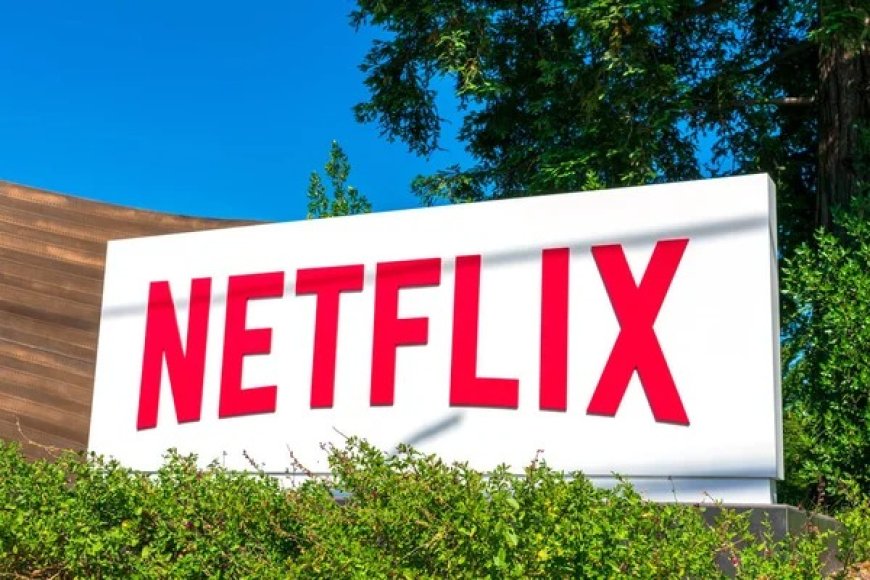 Netflix's Success in Adapting to Social and Political Issues: Insights from a Corporate Board Veteran