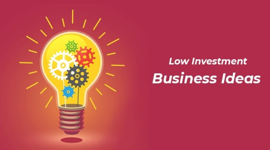 Maximizing Profits with Minimal Investment: Unveiling Lucrative Low-Cost Business Opportunities
