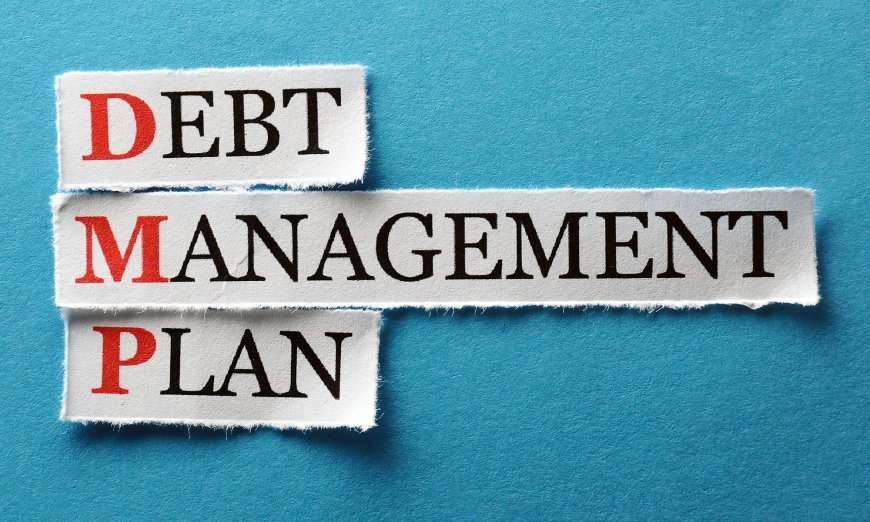 Effective Debt Management Techniques to Achieve Financial Freedom