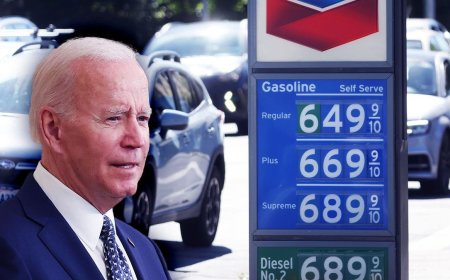 Breaking News: Gasoline, Natural Gas, and Other Energy Sources Witness Significant Price Declines