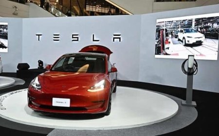 Tesla's Dominance in China's EV Market Driven by Record-Breaking Deliveries