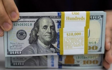 Dollar Slides, Stocks Rally Ahead of US Inflation Data: Market Highlights