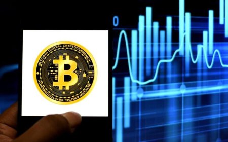 Bitcoin Value Takes a Hit, While DigiToads Anticipates 5000 percent Growth in year 2023