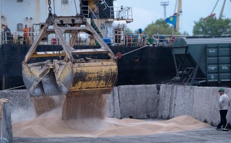 Ukraine's Grain Exports in Peril Amidst Russian Attacks: Shipping Industry Braces for Challenges