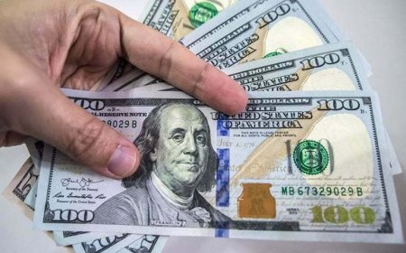 Forex Dollar Rises Despite U.S. Credit Downgrade and Strong Jobs Report