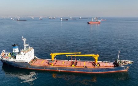 Black Sea Grain Deal Collapse: Impact on Global Food Prices & Security