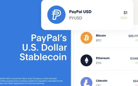 PayPal Launches Dollar-Pegged Stablecoin: Seamless Payments in the Crypto Sector
