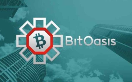BitOasis Funding Boost: CoinDCX and More Invest in Dubai Cryptocurrency Exchange