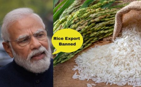 India's New Rice Export Rules: What You Need to Know