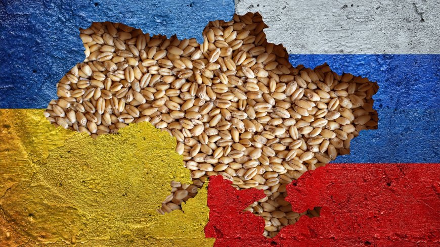 Russia Withdraws from grain deal