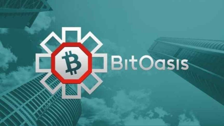 BitOasis Funding Boost: CoinDCX and More Invest in Dubai Cryptocurrency Exchange