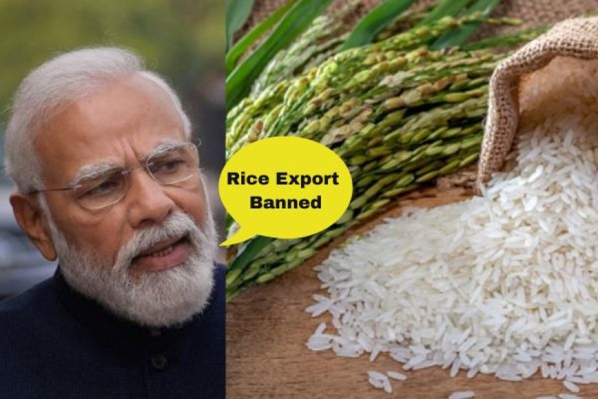 India's New Rice Export Rules: What You Need to Know