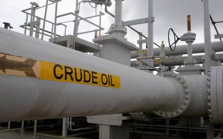 Saudi Arabia's Crude Oil Exports Dip Amid OPEC Production Cuts