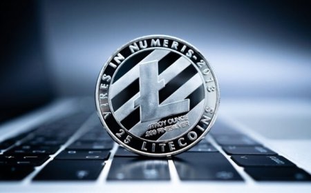 Litecoin's Quest for $1,000 and Wall Street Memes: Cryptocurrency Updates