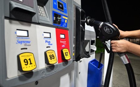 Gas Prices in 2023: Reaching New Heights and Predictions of Stabilizing