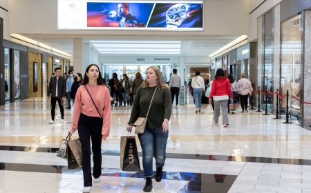 U.S. Service Sector Sees Modest Slowdown in September: Economic Insights