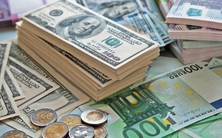 Forex Dollar Strengthens against Euro Amid Israel-Palestinian Conflict