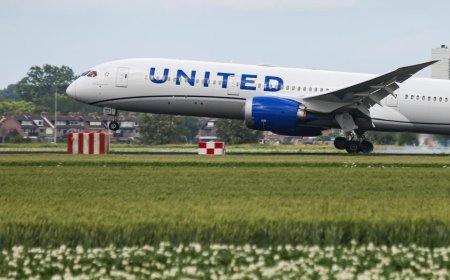 Airline Stocks Experience Volatility, Leading to Year-to-Date Losses