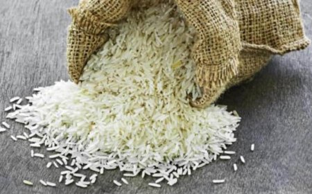India Expected to Extend Restrictions on Rice Exports, Affecting Global Prices