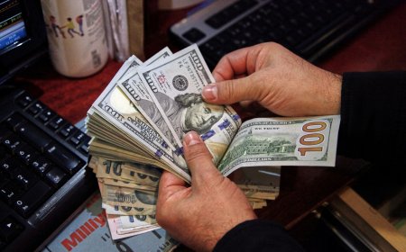 Dollar Dips and Euro Rebounds in Forex Market Amid Rate Cut Speculations: Insights Ahead of Fed's Powell Talk