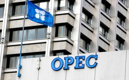 Oil Prices Hit Five-Month Low Due to High US Exports and OPEC+ Doubts