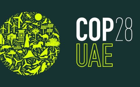 Major Global Traders Take a Stand Against Harmful Soy Purchases, Aiding Conservation in South American Grasslands