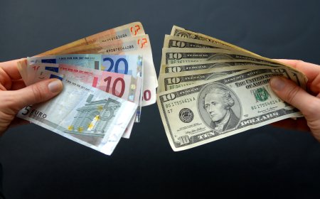 Year-End Twist: Dollar Hits 5-Month Low Against Euro Amid Fed Rate Cut Expectations