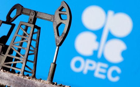 Oil Market Challenges: 2023 Year-End Review and Forecast