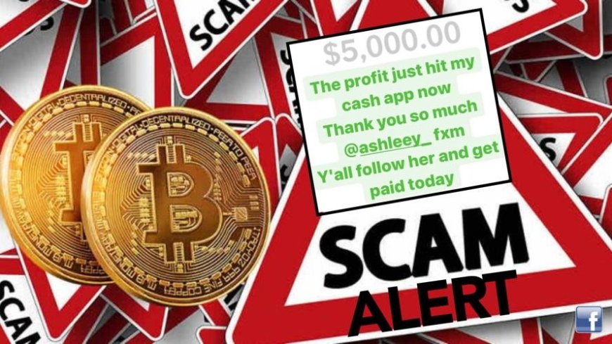 Crypto Scammers Swipe $59 Million Using Deceptive Google and X Ads, Targeting 63,000 Victims: Report