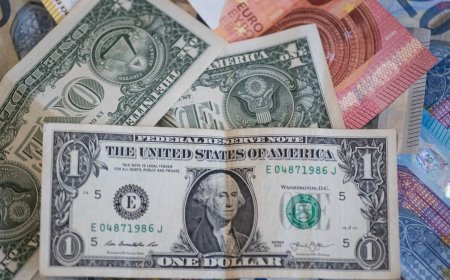 Dollar Gains Ground on First Day of the Year Due to Strong U.S. Yields