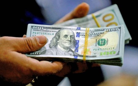US Dollar Faces Decline After Federal Reserve Meeting: Mixed Signals on Interest Rates and Global Market Trends