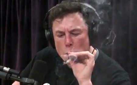Elon Musk Drug Use Concerns: Impact on Tesla, SpaceX, and Beyond: WSJ Report