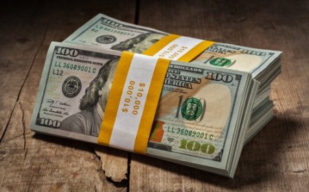 Forex Dollar Dips, Yuan Slides: Market Moves After PBOC's Surprise and Fed Rate Cut Bets