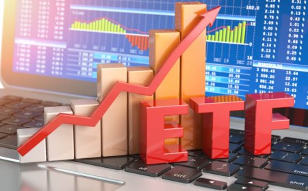 India ETFs Attract Record Investments in 2023