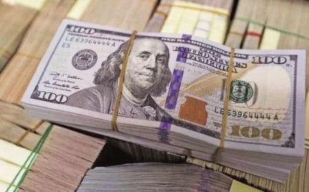 Forex Dollar Strengthens as U.S. Retail Sales Boost Confidence - Latest Money Market Trends