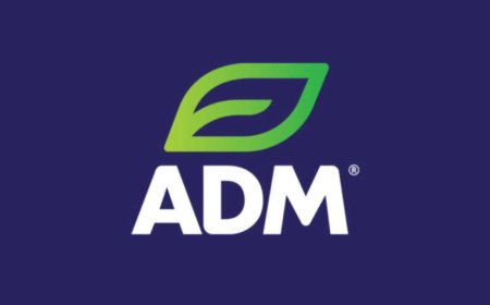 ADM Faces Turbulence: CFO Investigation and Profit Forecast Trim Spark 12% Share Drop