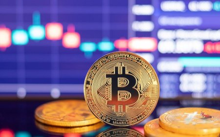 German Authorities Seize Record $2.17 Billion in Bitcoin in Major Cryptocurrency Operation