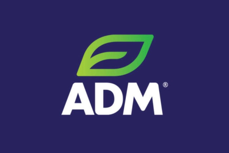 ADM Faces Turbulence: CFO Investigation and Profit Forecast Trim Spark 12% Share Drop