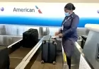 US Airlines Increase Checked Baggage Fees: What's Behind the Surge and How Much More You'll Pay