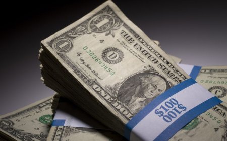 Forex Dollar Hits Two-Month High as Expectations for Fed Rate Cuts Fade