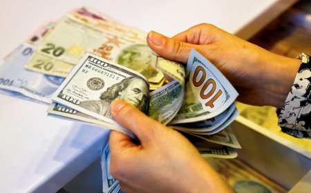 Dollar Ascends, Yen Retreats: Forex Markets React to Rate Expectations