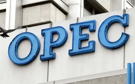 OPEC Affirms Strong Oil Demand Growth Projections for 2024-2025