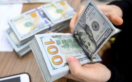 Forex Dollar Strengthens Amid Economic Analysis, Yen Stability at Risk